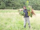 Peter clearing ragwort
